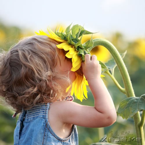 ��Ҫֹͣ׷��ĳЩ�������������� (1)