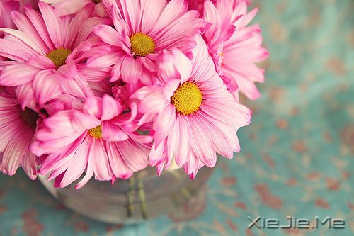 �簲�����Ϊ����Ϊ���ˣ����˲����˵��� (6)