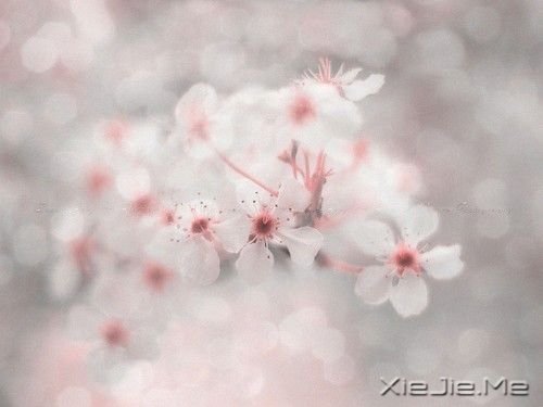 晚安心语:愿你成为自己的太阳 (4)