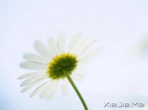��������ഺ������ʹ��ȴ�����޷��� (5)