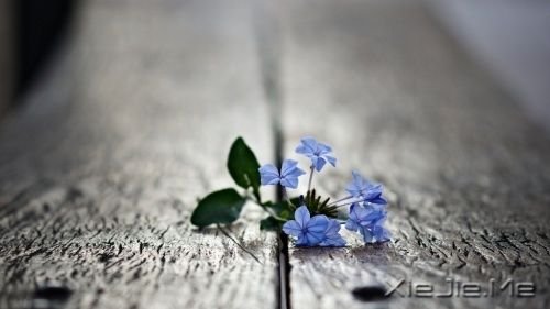 �������������������Լ� (4)