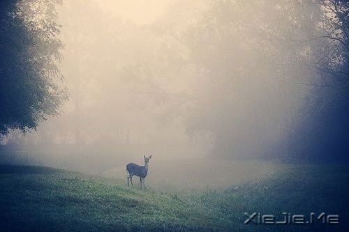 �簲������������ˣ����Ҹ���· (5)