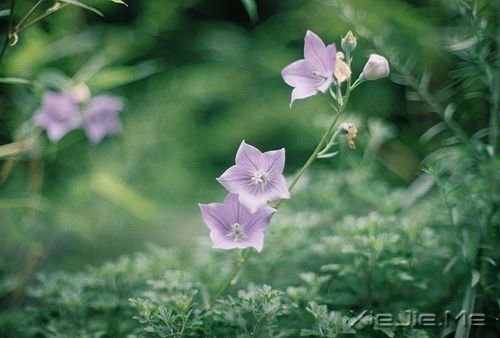 �簲����ɹ����ٶ�һ��Ҫ������ĸ��ȥ���ٶ� (7)