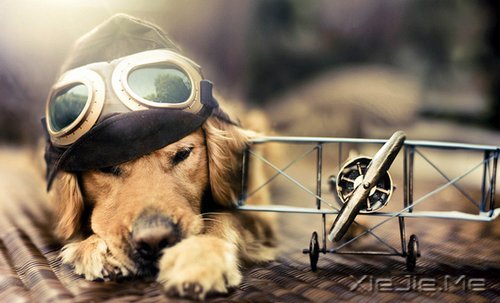�簲�����һ���������ж����߹� (10)