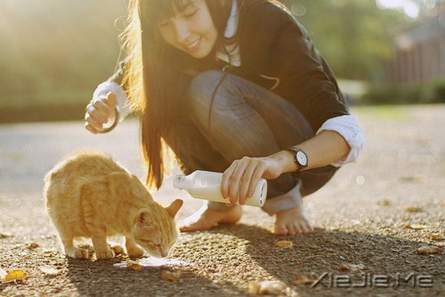 Ϊʲô����ô���գ�ȴ����û�а���