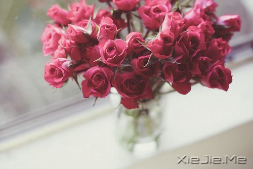 ���֣���Ҫ�㶮��