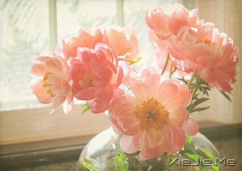 经典语录:只要适合自己,就是幸福 (10)