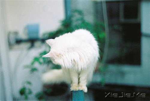 Ը�㲻�ٺ������֮ǰ���Լ�