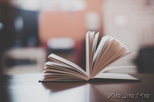 文字:青春,是一本太仓促的书 (5)