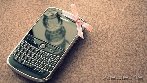 ����Ե�������������ֻ�