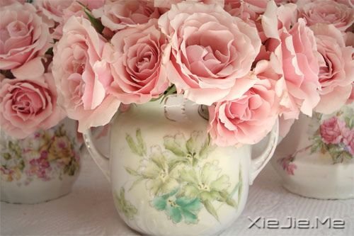 我用心守候 (5)